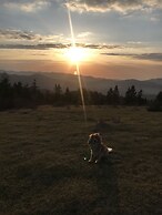 Badara Kafe & Pansiyon