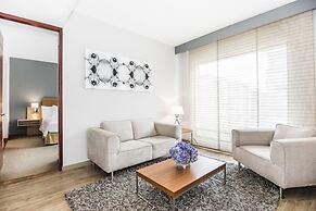 Cosmos 100 Executive