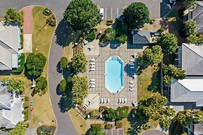 Emerald Palace S 10 Black Coral Cove