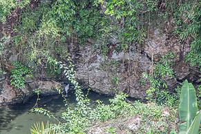 Haley's Paradise at Blue Hole