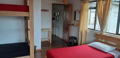 Hostal Triángulo del Café - Hostel