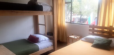 Hostal Triángulo del Café - Hostel