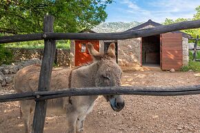 Villa Stone House Magarac Zadarvillas