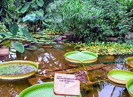 Haus der Schmetterlinge