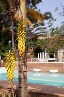 Jardim Secreto Guest House - Hostel