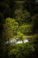 Meymune Valide Konagi