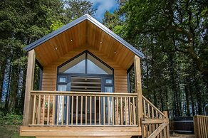 Cabin In The Woods - 1 Bed - Kilgetty