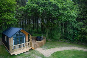 Cabin In The Woods - 1 Bed - Kilgetty