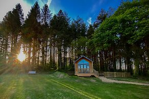 Cabin In The Woods - 1 Bed - Kilgetty