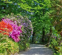 Casa Olivia Little Sweet Escape