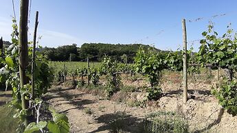 Agriturismo casa alla madonna