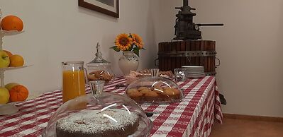 Agriturismo casa alla madonna