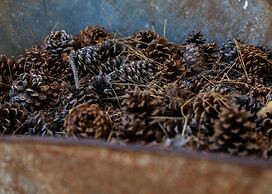 Inn at Sugar Pine Ranch