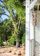 Inn at Sugar Pine Ranch