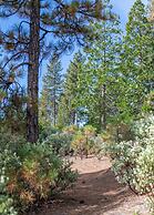 Inn at Sugar Pine Ranch