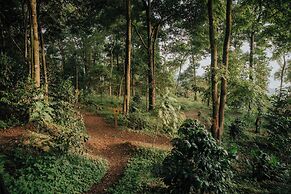 Hotel La Palma y El Tucan - Coffee & Nature