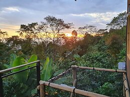 Hotel La Palma y El Tucan - Coffee & Nature