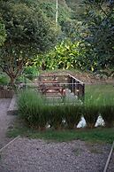 Hotel La Palma y El Tucan - Coffee & Nature