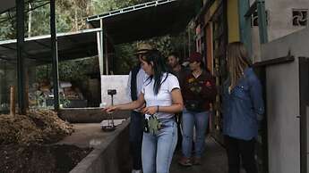 Hotel La Palma y El Tucan - Coffee & Nature