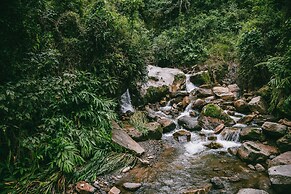 Hotel La Palma y El Tucan - Coffee & Nature