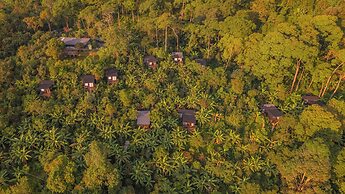 Hotel La Palma y El Tucan - Coffee & Nature