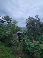 Hotel La Palma y El Tucan - Coffee & Nature