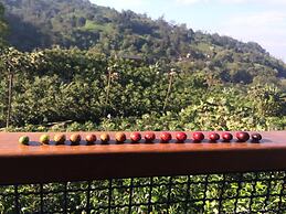 Hotel La Palma y El Tucan - Coffee & Nature
