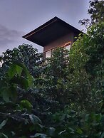 Hotel La Palma y El Tucan - Coffee & Nature