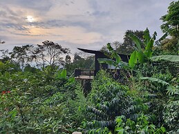 Hotel La Palma y El Tucan - Coffee & Nature