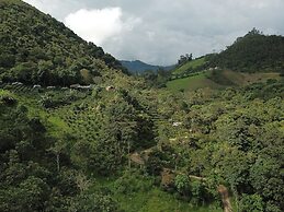 Hotel La Palma y El Tucan - Coffee & Nature