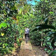 Hotel La Palma y El Tucan - Coffee & Nature