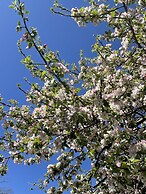 Millz Manor at Fall River Millz