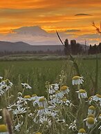 Millz Manor at Fall River Millz