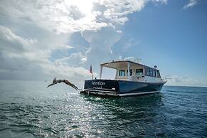 Tower at The Boca Raton