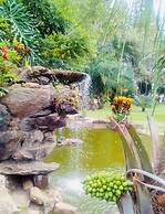 Águas Termais Naturais Piscinas Quentes 24h Sauna Free Golden Dolphin 