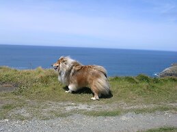 Charming Fully-equipped 3-bed Cottage nr Boscastle