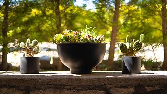 Cati Hotel Boutique Plus