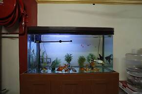 French Breeze Residency