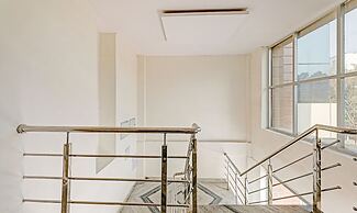 Treebo Silver Stallion