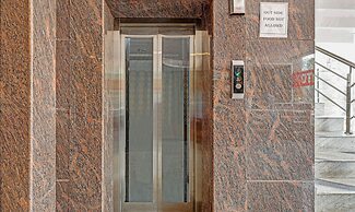 Treebo Silver Stallion