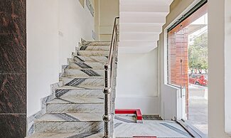 Treebo Silver Stallion