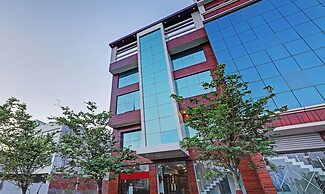 Treebo Silver Stallion