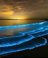 Sensational 2 Bedroom Getaway in Florence Hall