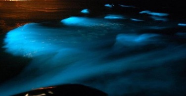 Sensational 2 Bedroom Getaway in Florence Hall