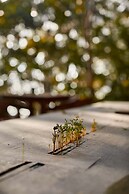 Kapok Bacalar – Plant Based Hotel