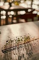 Kapok Bacalar – Plant Based Hotel