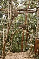 Kapok Bacalar – Plant Based Hotel