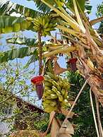 Pousada Casablanca Águas de São Pedro