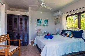 Virgin Gorda Villa Rentals