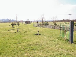 Silver Birch Lodge